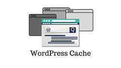 Rekomendasi Plugin Caching WordPress Terbaik untuk Website